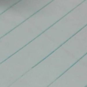 Meet your Posher, Celina